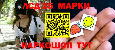 гидра Камень-на-Оби