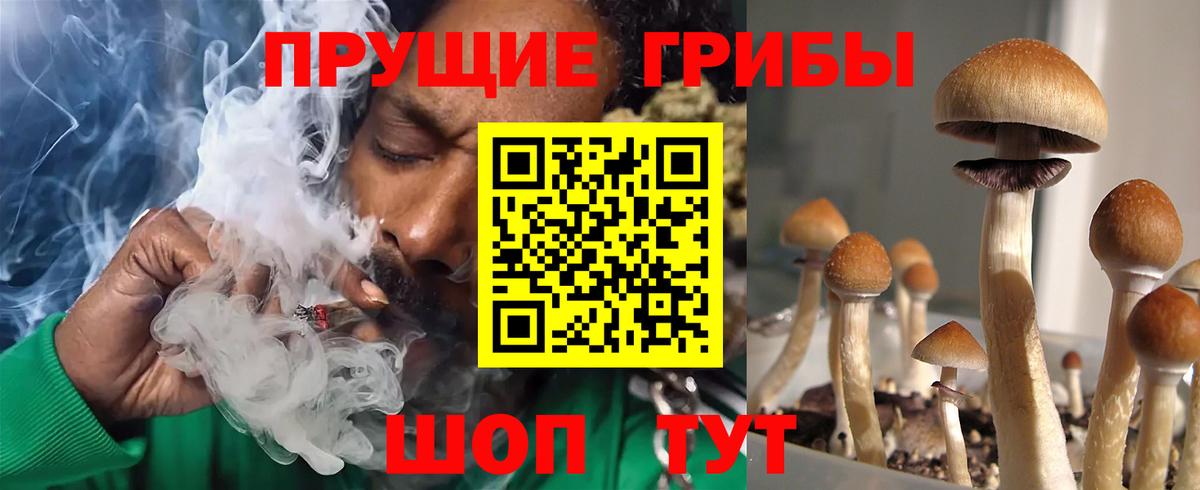 Псилоцибиновые грибы Cubensis Нижний Тагил